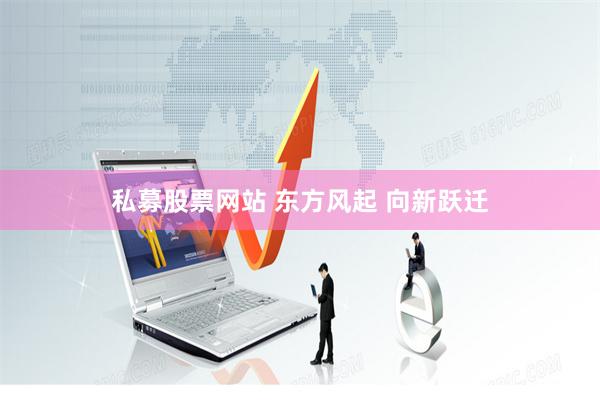 私募股票网站 东方风起 向新跃迁