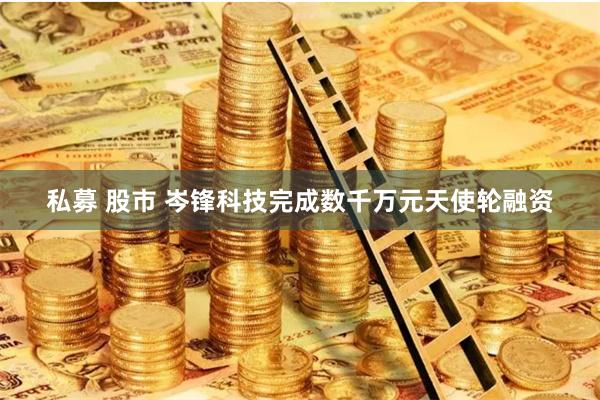 私募 股市 岑锋科技完成数千万元天使轮融资