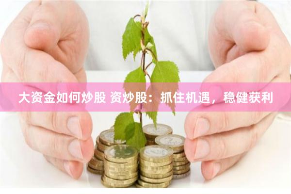 大资金如何炒股 资炒股：抓住机遇，稳健获利