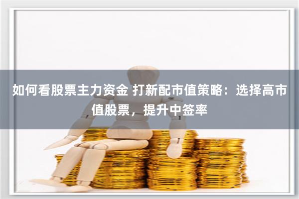 如何看股票主力资金 打新配市值策略：选择高市值股票，提升中签率