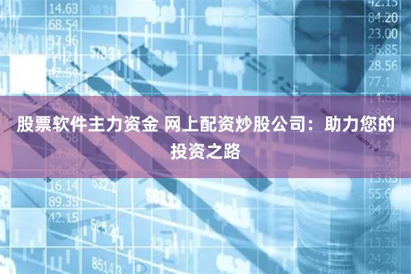 股票软件主力资金 网上配资炒股公司：助力您的投资之路