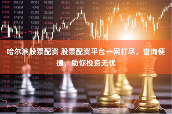 哈尔滨股票配资 股票配资平台一网打尽，查询便捷，助你投资无忧